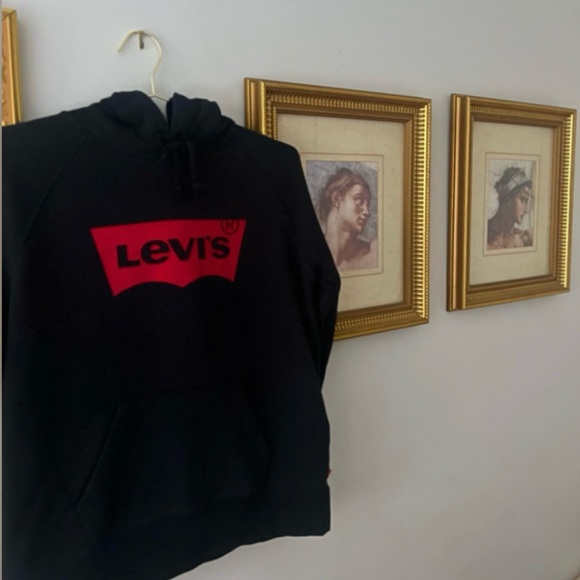 LEVIS Hoodie - Picture 1 of 2